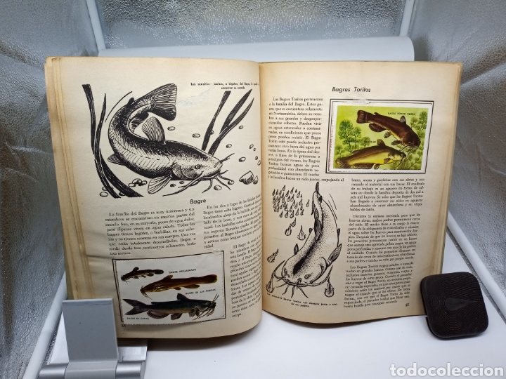 Coleccionismo &aacute;lbumes: Peces libro de oro de estampas - Foto 5