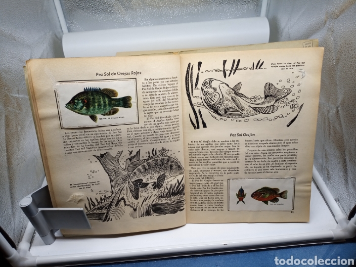 Coleccionismo &aacute;lbumes: Peces libro de oro de estampas - Foto 6
