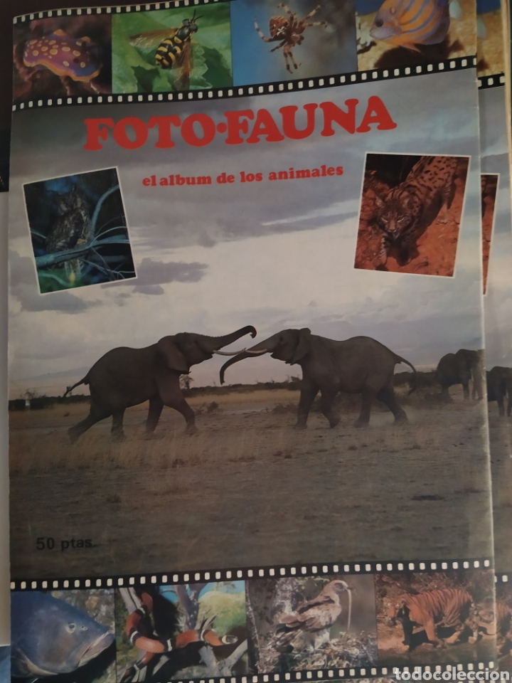 Collezionismo Album: &Aacute;lbum de animales Foto-fauna