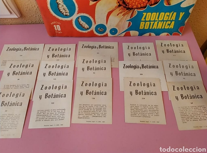Coleccionismo &aacute;lbumes: Album cromos - Foto 2