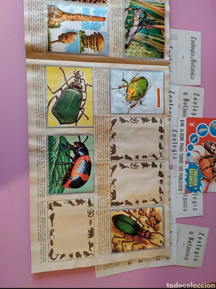 Coleccionismo &aacute;lbumes: Album cromos - Foto 5