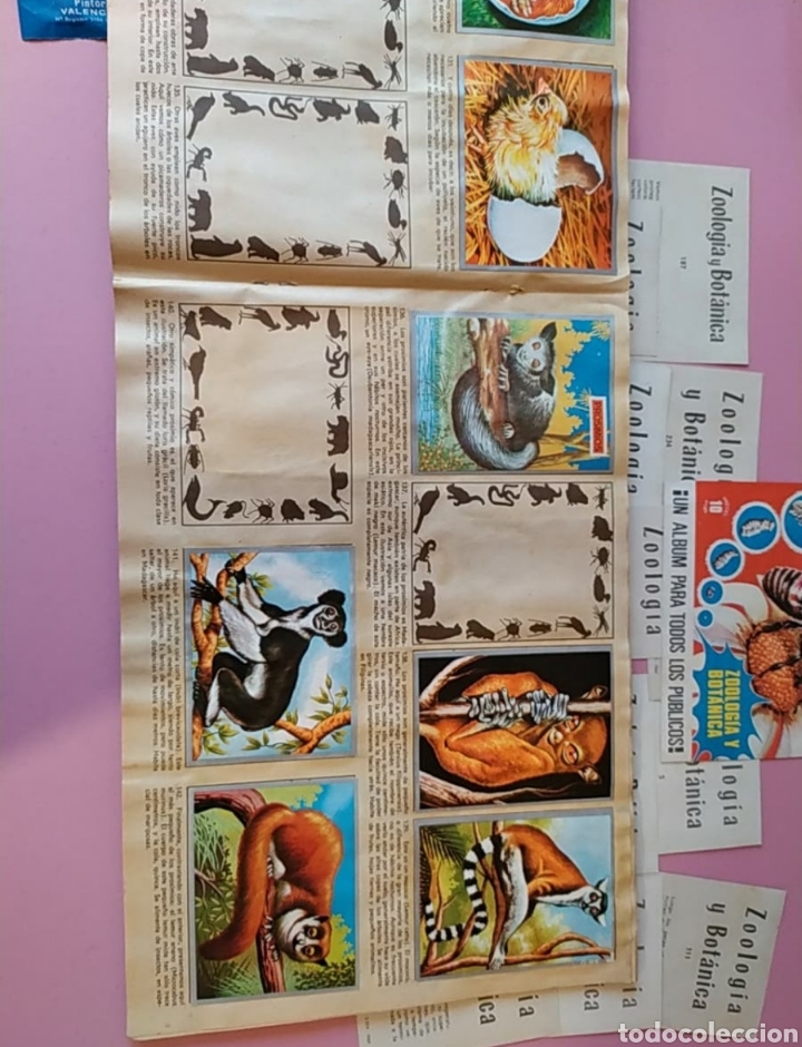 Coleccionismo &aacute;lbumes: Album cromos - Foto 6