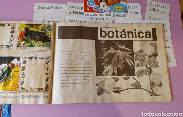 Coleccionismo &aacute;lbumes: Album cromos - Foto 7
