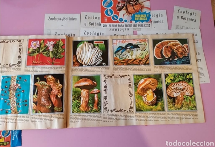 Coleccionismo &aacute;lbumes: Album cromos - Foto 8