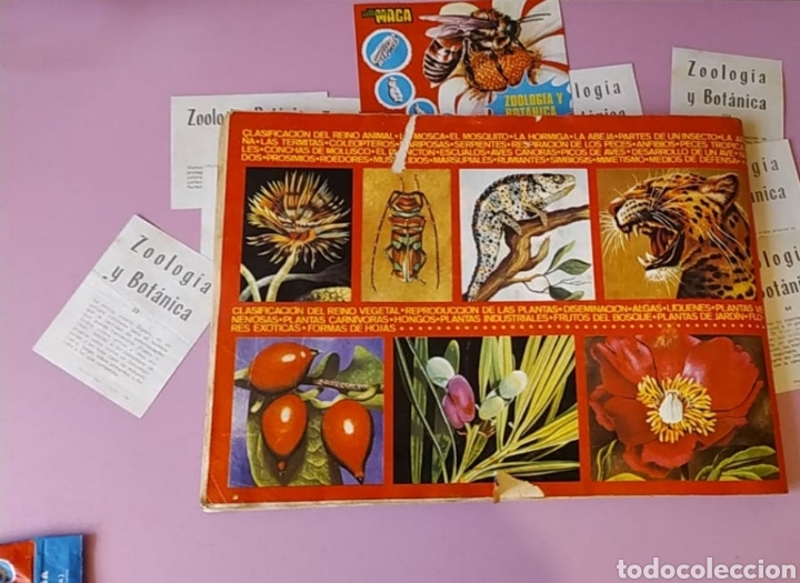 Coleccionismo &aacute;lbumes: Album cromos - Foto 10