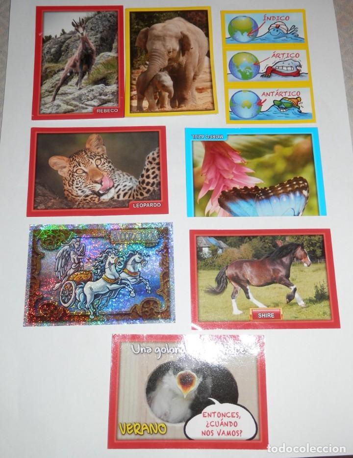 Collezionismo Album: LOTE DE CROMOS DE LA SERIE AMICI CUCCIOLOM - ANIMALITOS