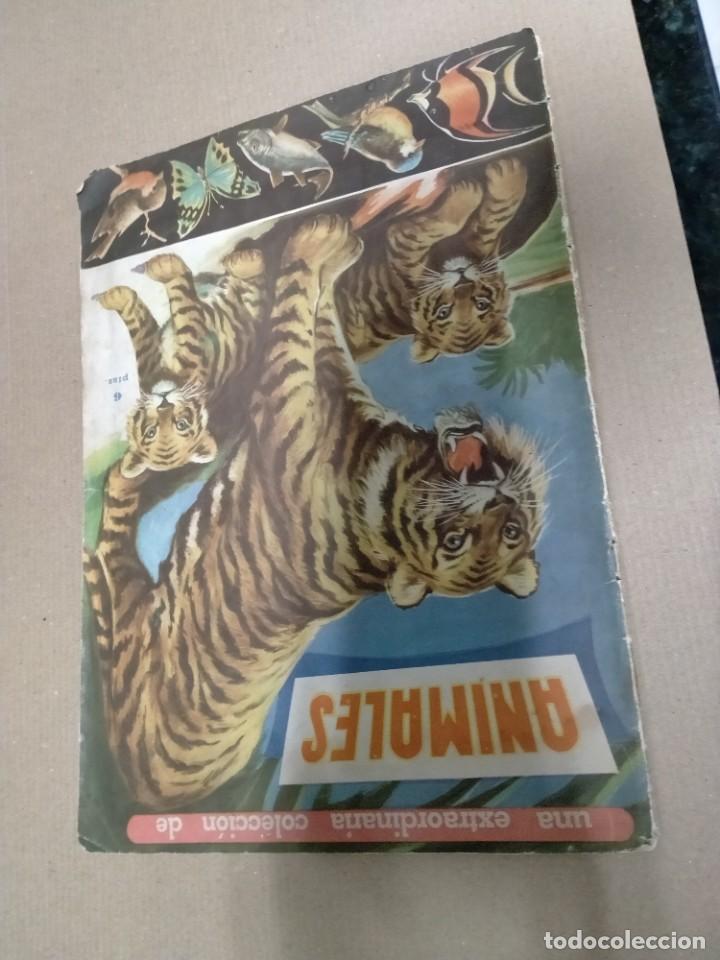 Collectionnisme Albums: cromos de album de animales-de 1965 fher