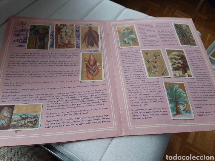 Coleccionismo &aacute;lbumes: &Aacute;lbum chocolates Aiglon Congo - Foto 4