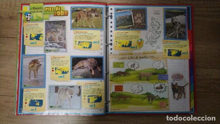 Coleccionismo &aacute;lbumes: animales 2013 - Foto 13
