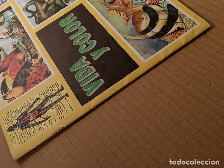 Coleccionismo &aacute;lbumes: VIDA Y COLOR COMICROMO - Foto 7