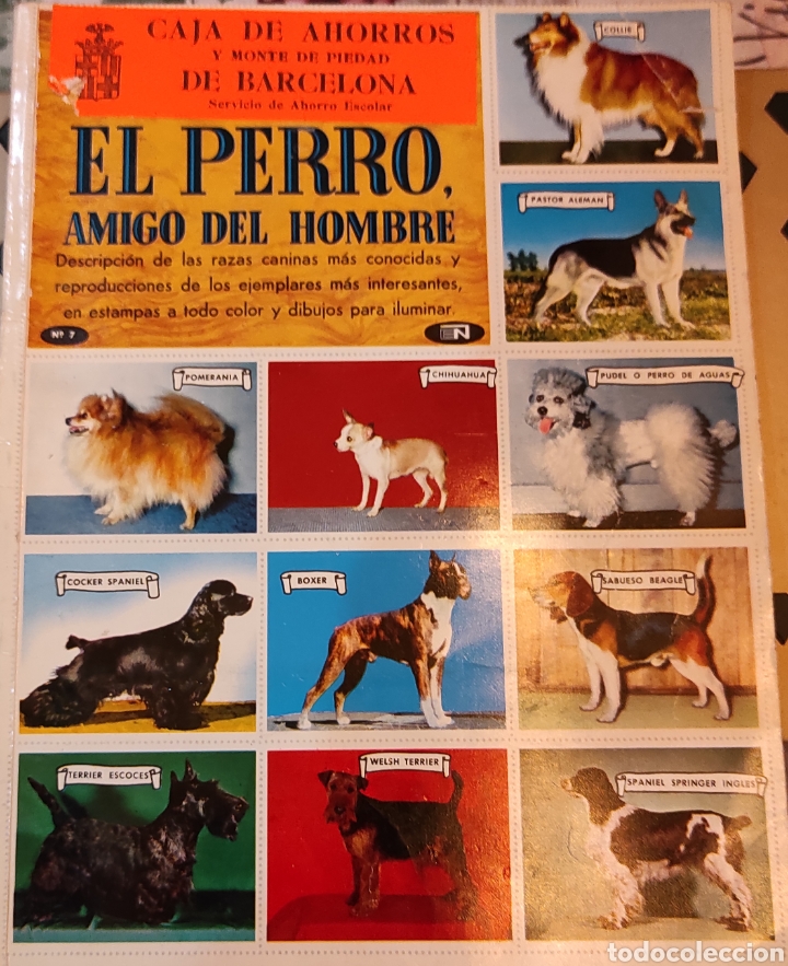 Collezionismo Album: ALBUM.EL PERRO. AMIGO DEL HOMBRE.1972.