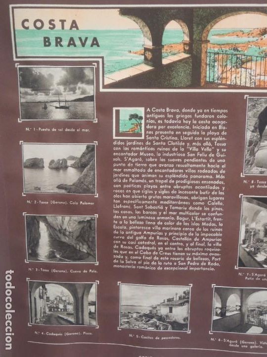 Collezionismo Album: COSTA BRAVA Y HACIENDA RURAL - HOJA COMPLETA DE CROMOS - SERIE-LI - J1--GALLINA BLANCA