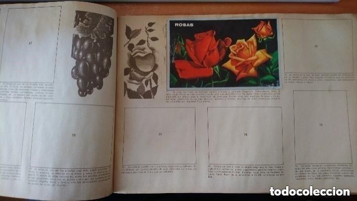Coleccionismo &aacute;lbumes: ciencias, album maga - Foto 2
