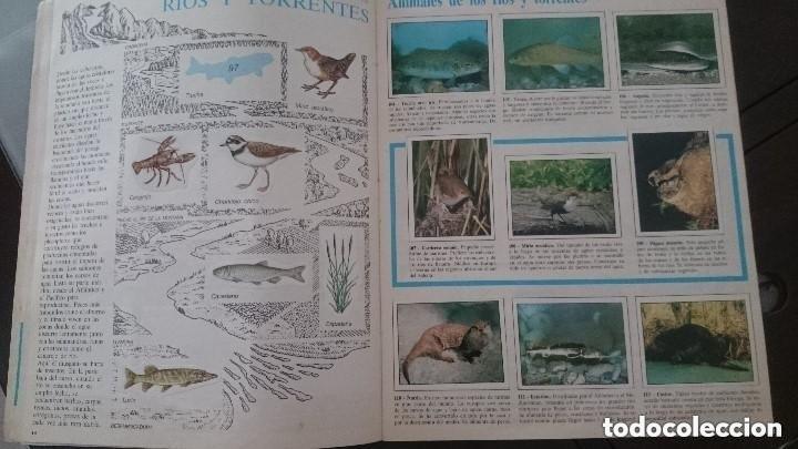 Coleccionismo &aacute;lbumes: ciencias, album maga - Foto 3