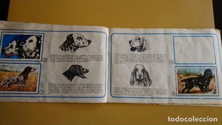 Coleccionismo &aacute;lbumes: tu mejor amigo el perro - Foto 5