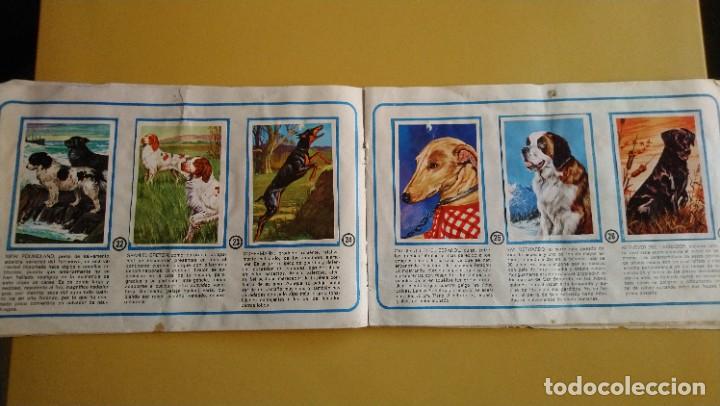 Coleccionismo &aacute;lbumes: tu mejor amigo el perro - Foto 6