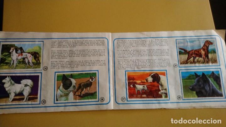 Coleccionismo &aacute;lbumes: tu mejor amigo el perro - Foto 7