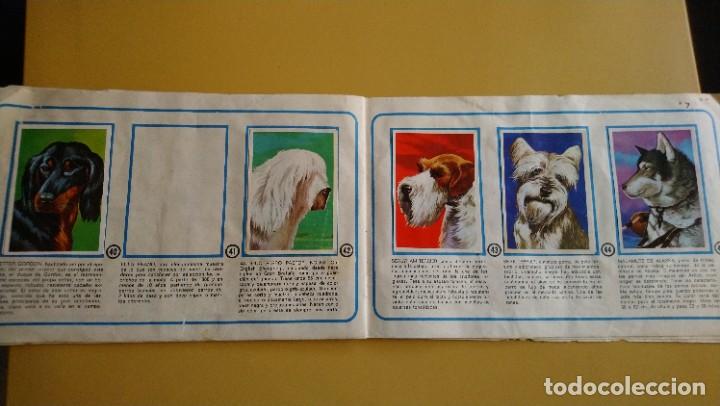 Coleccionismo &aacute;lbumes: tu mejor amigo el perro - Foto 8