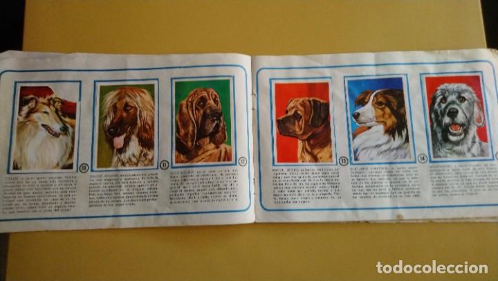 Coleccionismo &aacute;lbumes: tu mejor amigo el perro - Foto 9