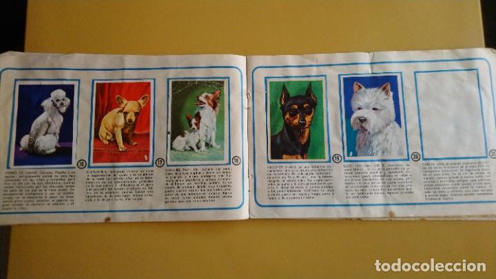 Coleccionismo &aacute;lbumes: tu mejor amigo el perro - Foto 10
