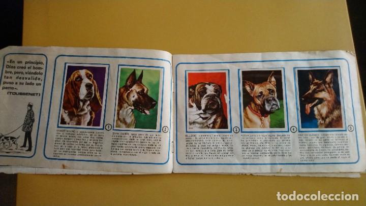 Coleccionismo &aacute;lbumes: tu mejor amigo el perro - Foto 11