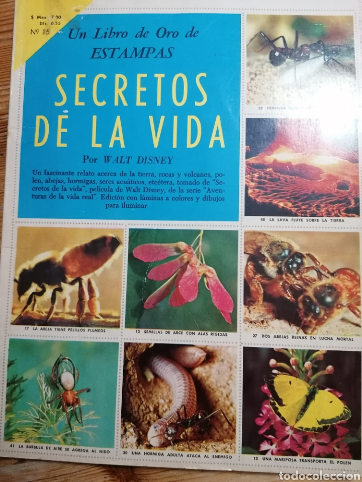 Colecionismo Cadernetas: &Aacute;lbum SECRETOS DE LA VIDA. Editorial Novaro