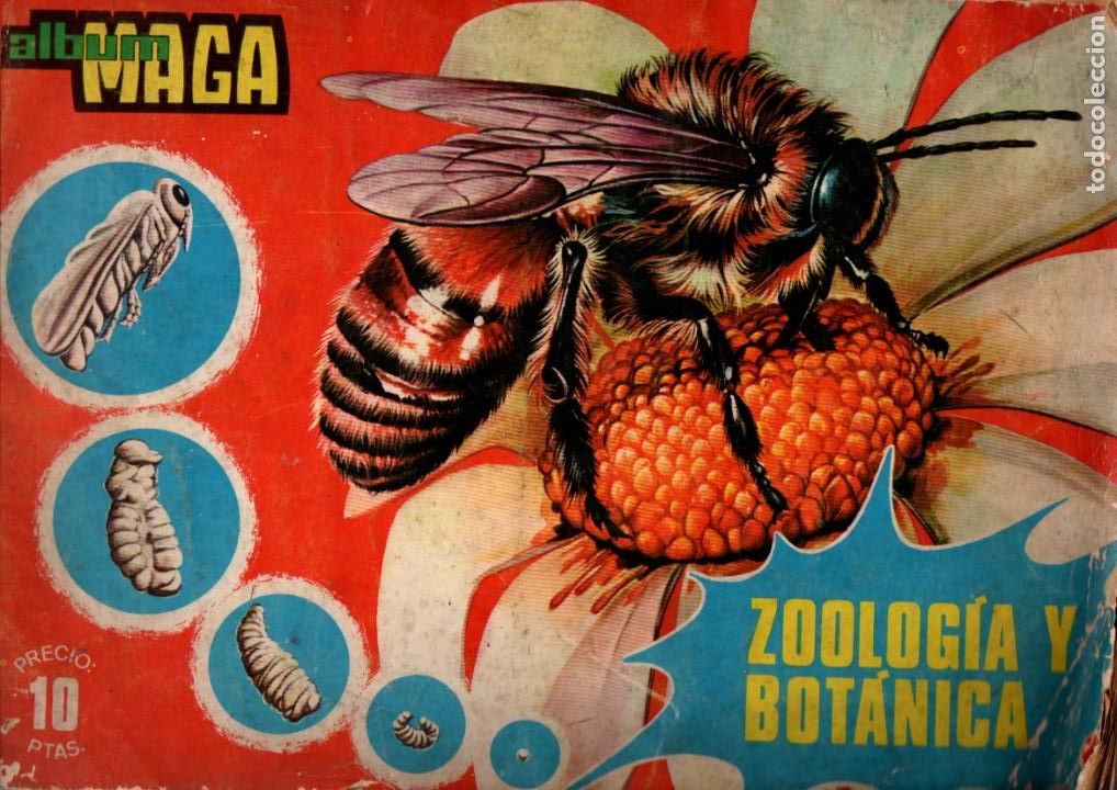 Collectionnisme Albums: ALBUM MAGA, ZOOLOGIA Y BOTANICA. CONTIENE 204 DE 288 CROMOS. VER DESCRIPCION. EDITORIAL MAGA 1969