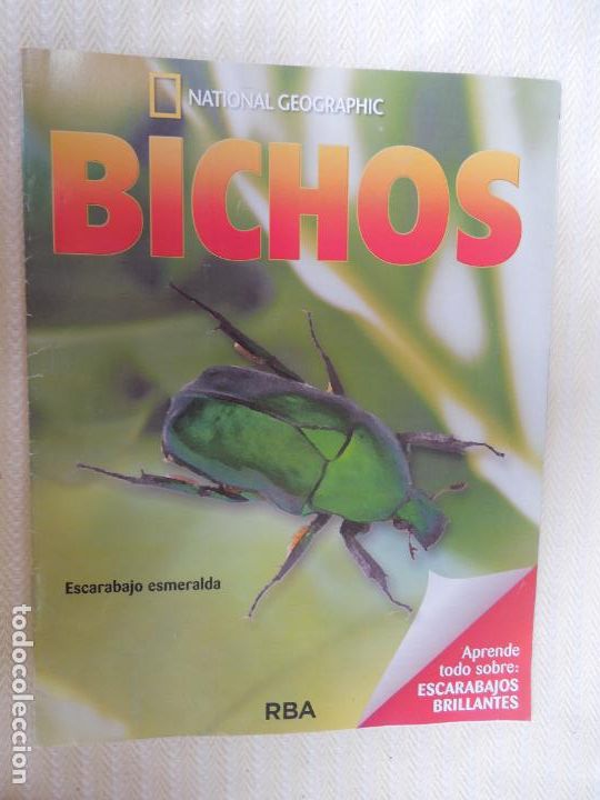 Coleccionismo &Aacute;lbumes: BICHOS - NATIONAL GEOGRAPHIC -ARA&Ntilde;A DIABLO