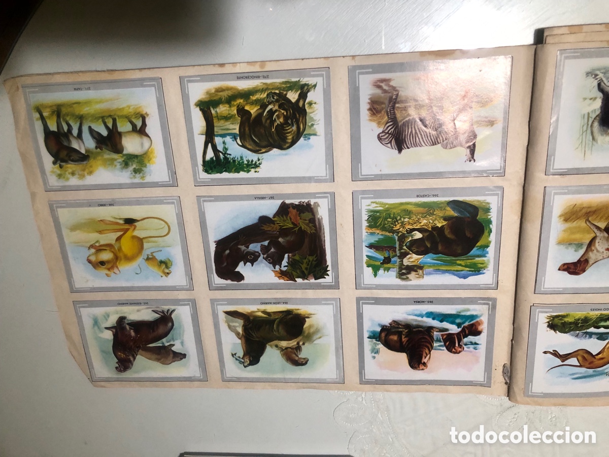 Coleccionismo &aacute;lbumes: Vida y color - Foto 15