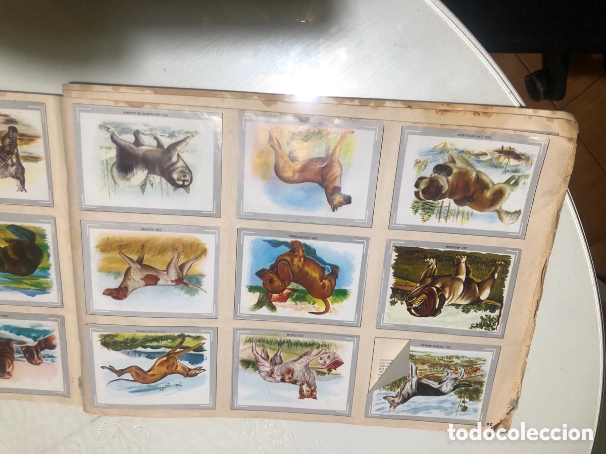 Coleccionismo &aacute;lbumes: Vida y color - Foto 16