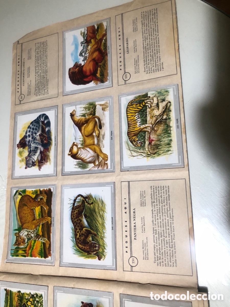 Coleccionismo &aacute;lbumes: Vida y color - Foto 17