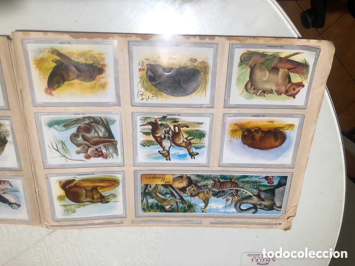 Coleccionismo &aacute;lbumes: Vida y color - Foto 24