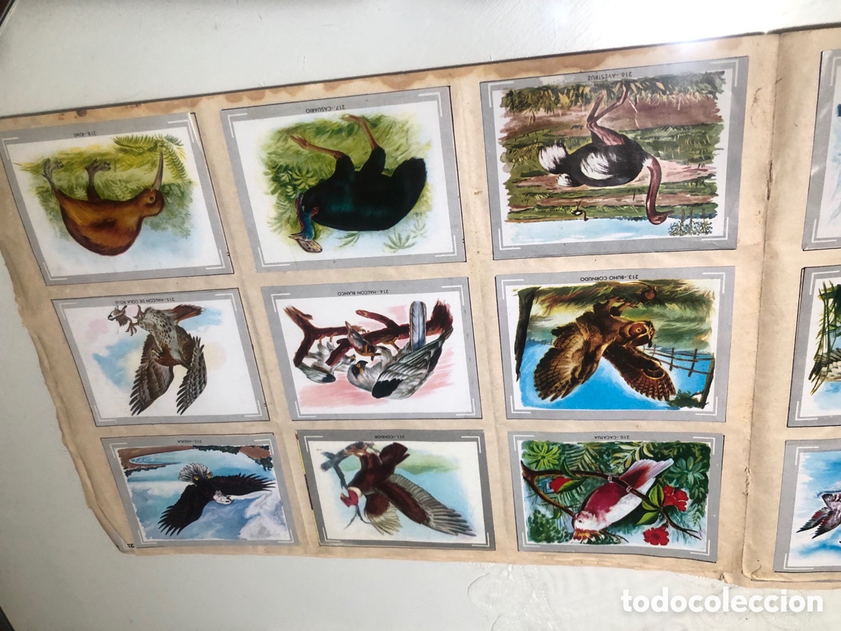 Coleccionismo &aacute;lbumes: Vida y color - Foto 25