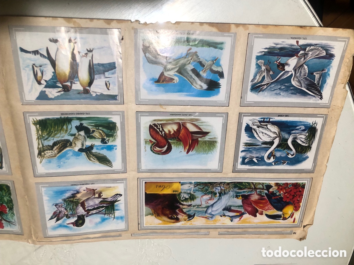 Coleccionismo &aacute;lbumes: Vida y color - Foto 26