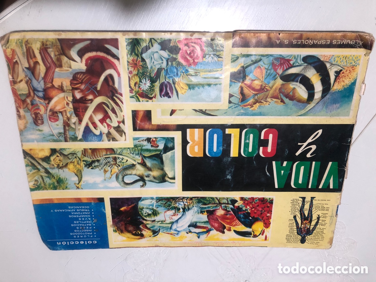 Coleccionismo &aacute;lbumes: Vida y color - Foto 30
