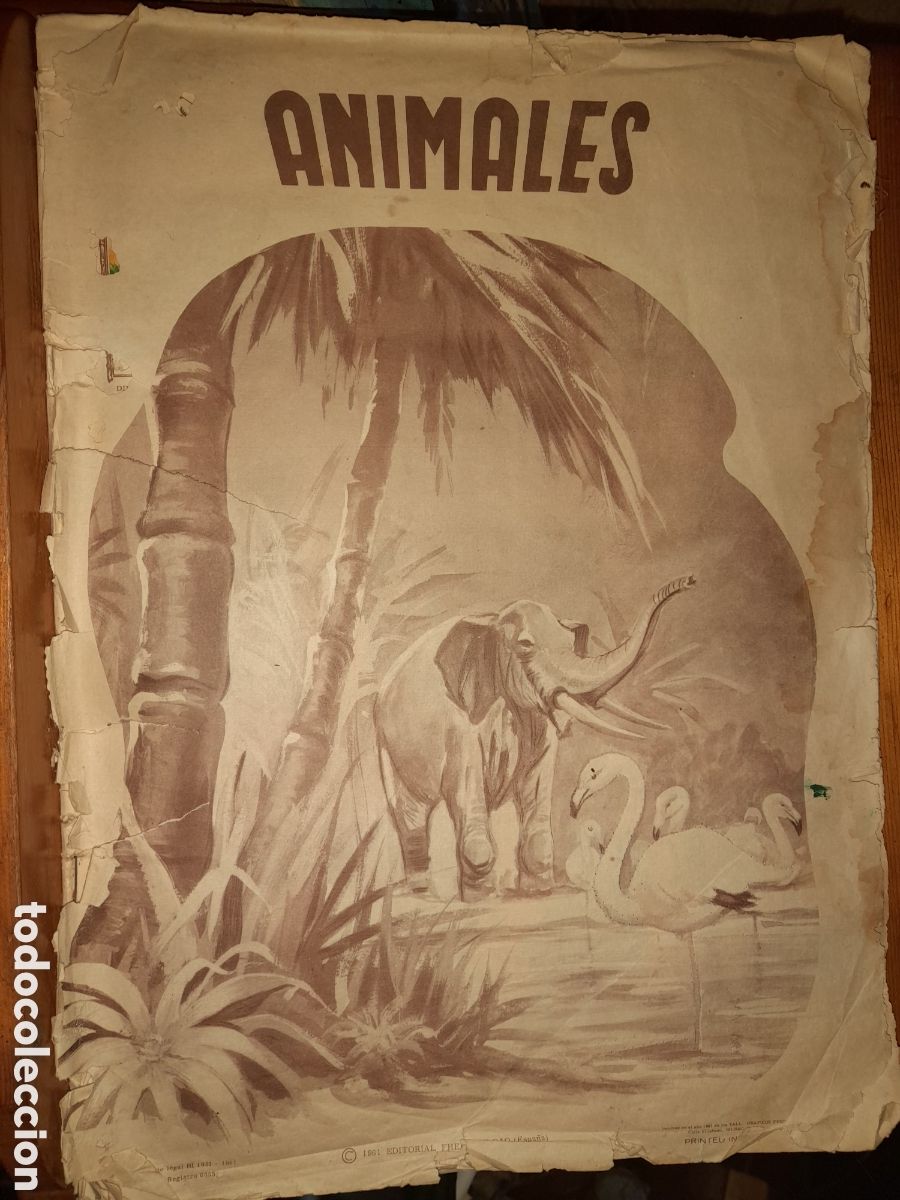 Collezionismo Album: ANIMALES UNA EXTRAORDINARIA COLECCION DE FHER 1961. ALBUM INCOMPLETO FALTAN DOS CROMOS 427 / 428