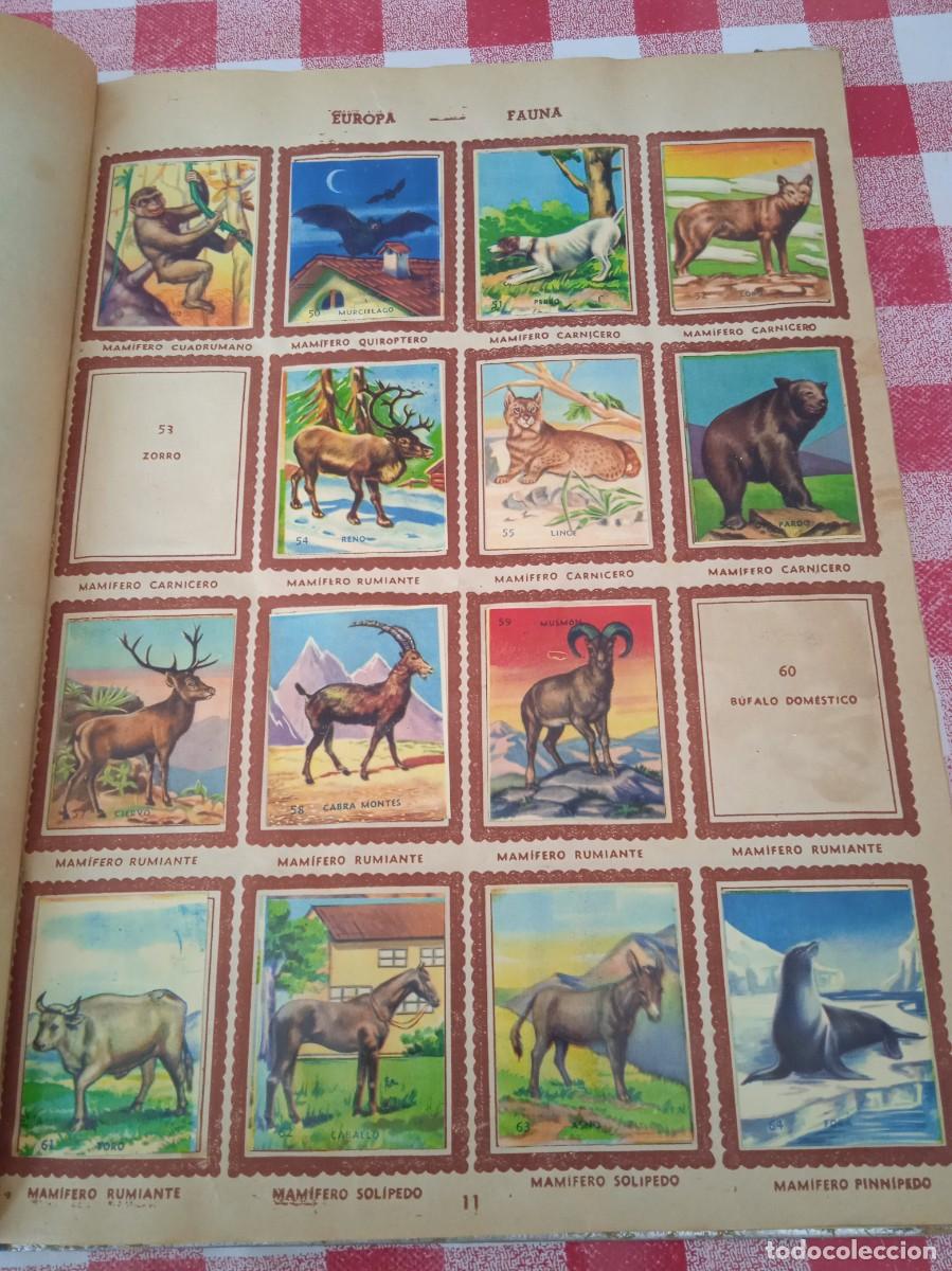 Coleccionismo &aacute;lbumes: Albun de cromos - Foto 3