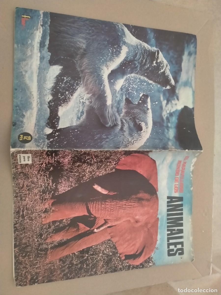 Colecionismo Cadernetas: album de cromos de el maravilloso mundo de los animales plancha muy raro