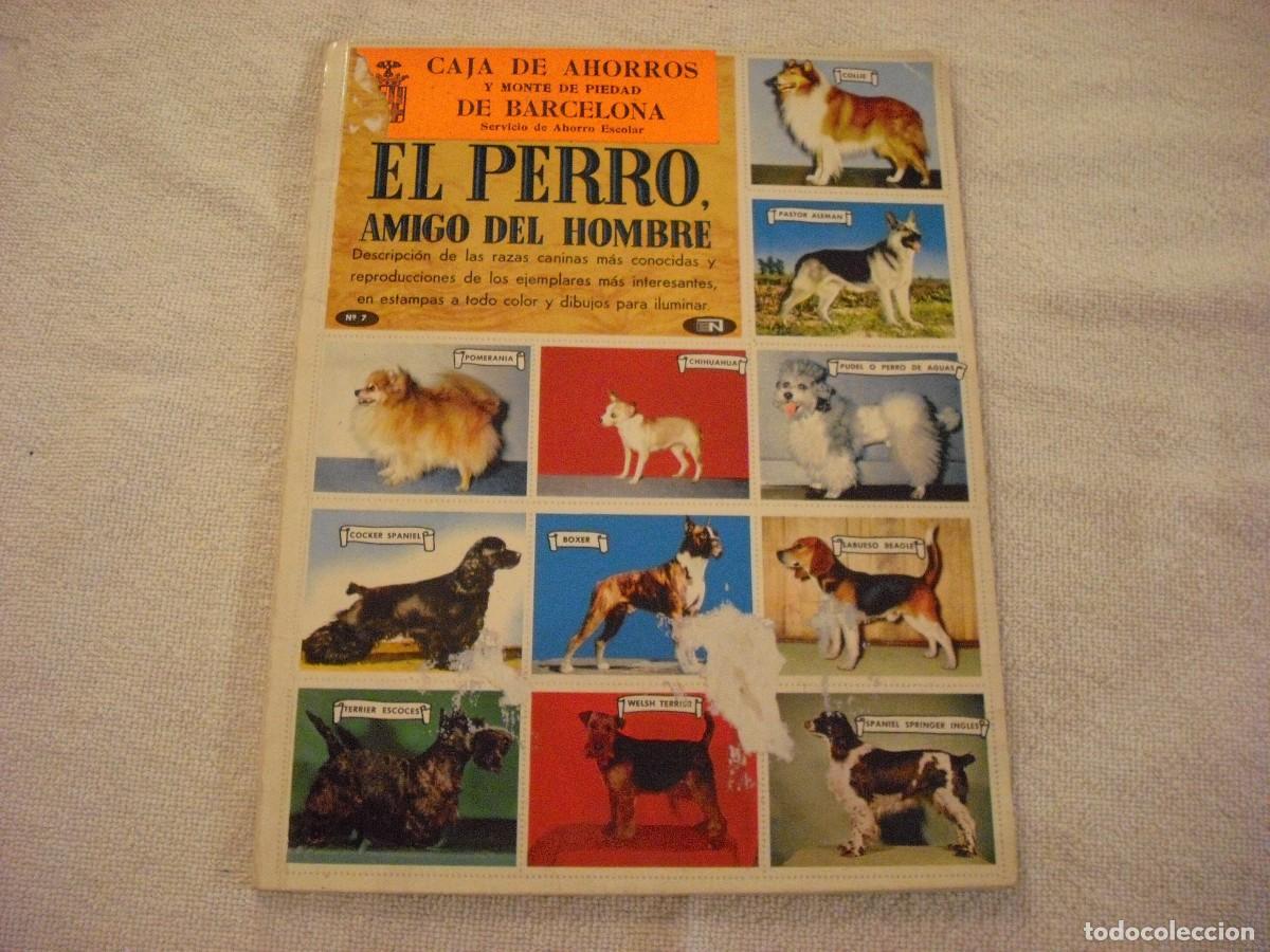 Collectionnisme Albums: EL PERRO, AMIGO DEL HOMBRE, LIBRO DE ORO DE ESTAMPAS. CONTIENE 41 CROMOS.