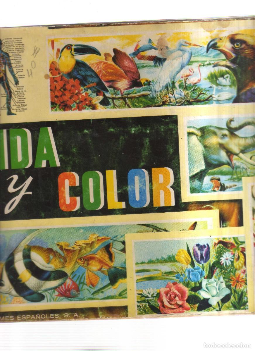 Coleccionismo &aacute;lbumes: VIDA Y COLOR - Foto 1