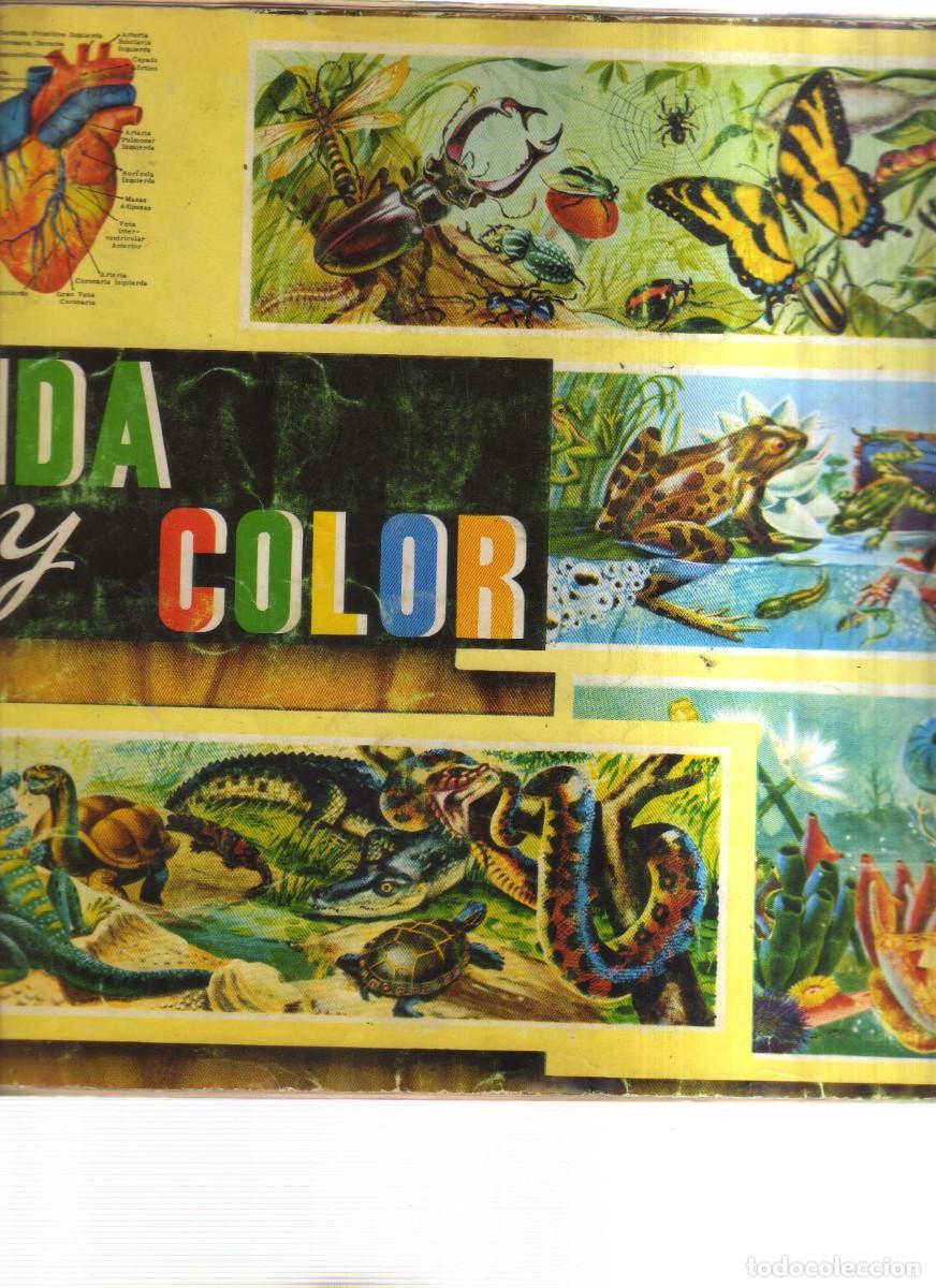 Coleccionismo &aacute;lbumes: VIDA Y COLOR - Foto 2