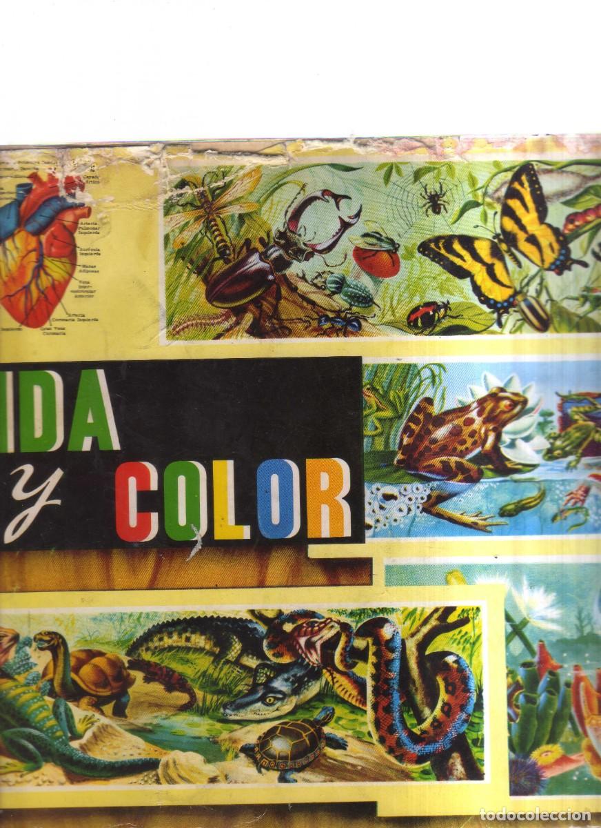 Coleccionismo &aacute;lbumes: VIDA Y COLOR - Foto 1
