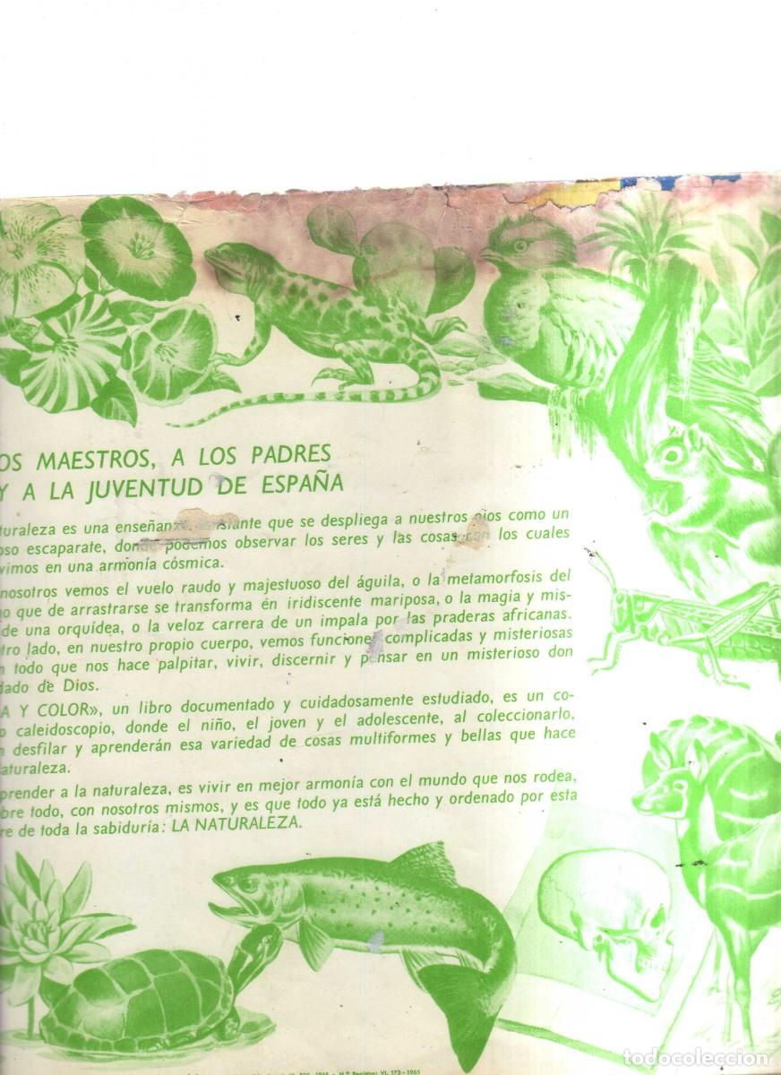 Coleccionismo &aacute;lbumes: VIDA Y COLOR - Foto 3