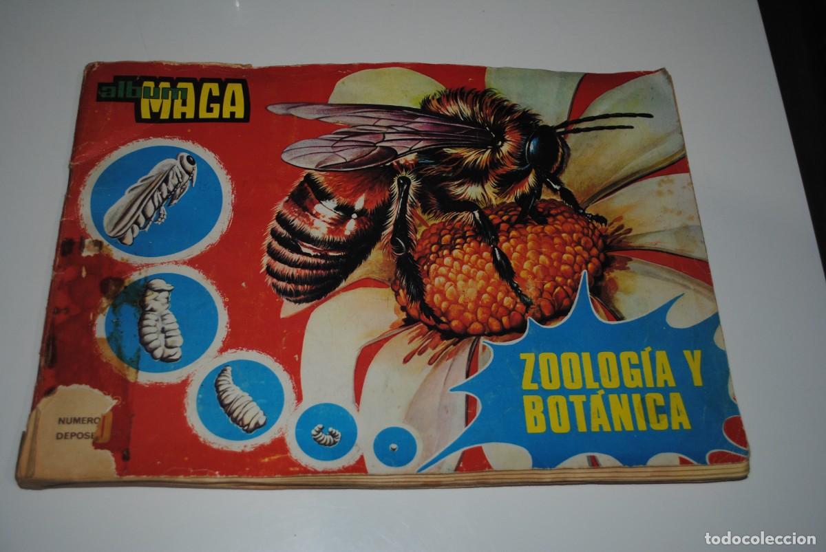 Collezionismo Album: ALBUM DE 288 CROMOS - ZOOLOGIA Y BOTANICA - ALBUM MAGA - INCOMPLETO FALTAN 60 CROMOS- VER FOTOS