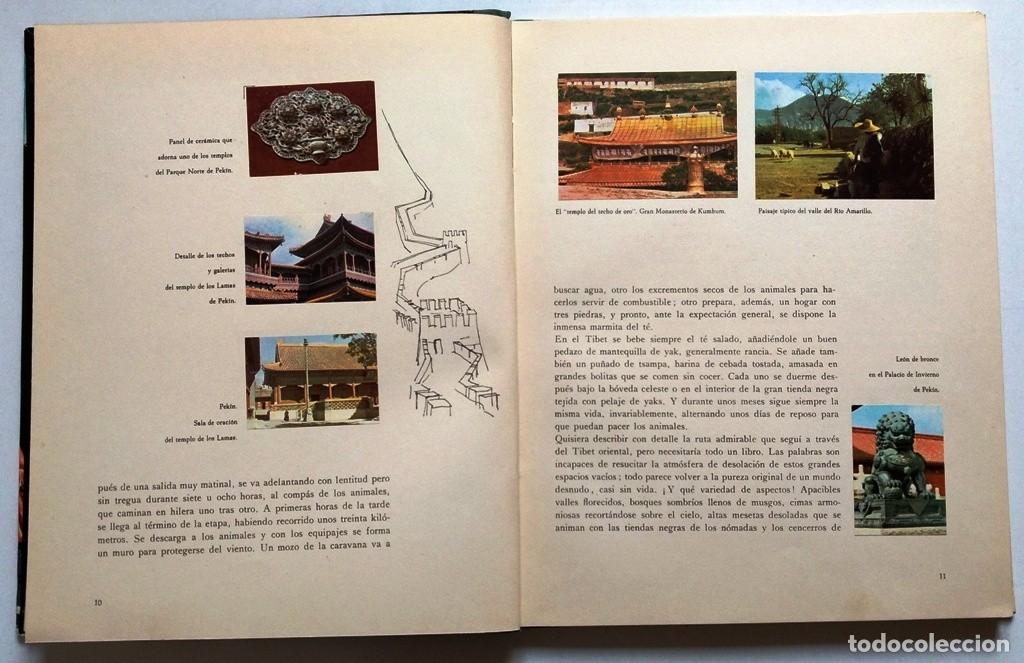 Coleccionismo &aacute;lbumes: Tierras Lejanas - Foto 2