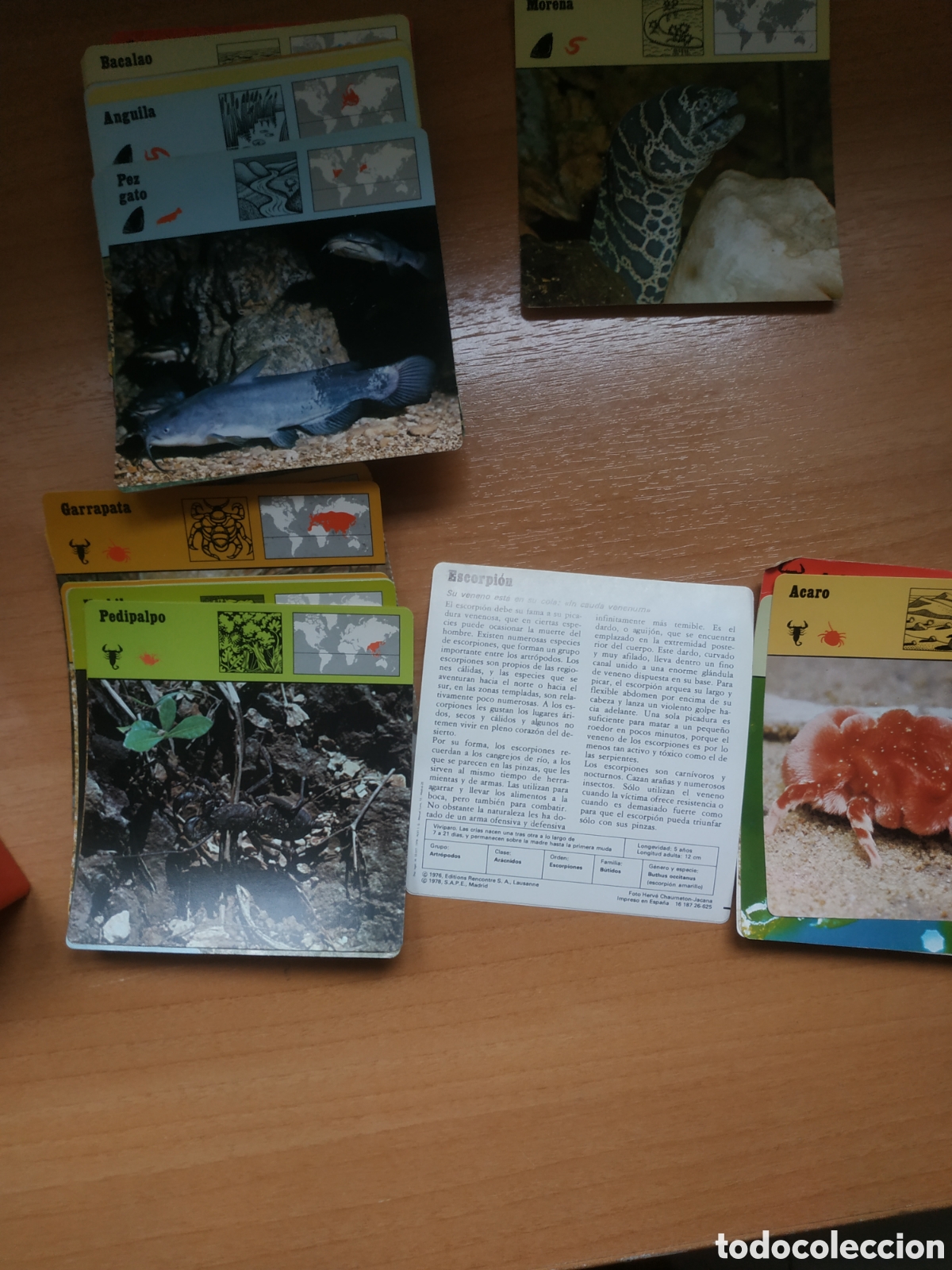 Coleccionismo &aacute;lbumes: Colecci&oacute;n animales - Foto 2