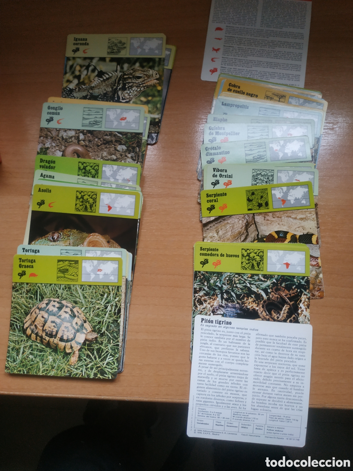 Coleccionismo &aacute;lbumes: Colecci&oacute;n animales - Foto 4