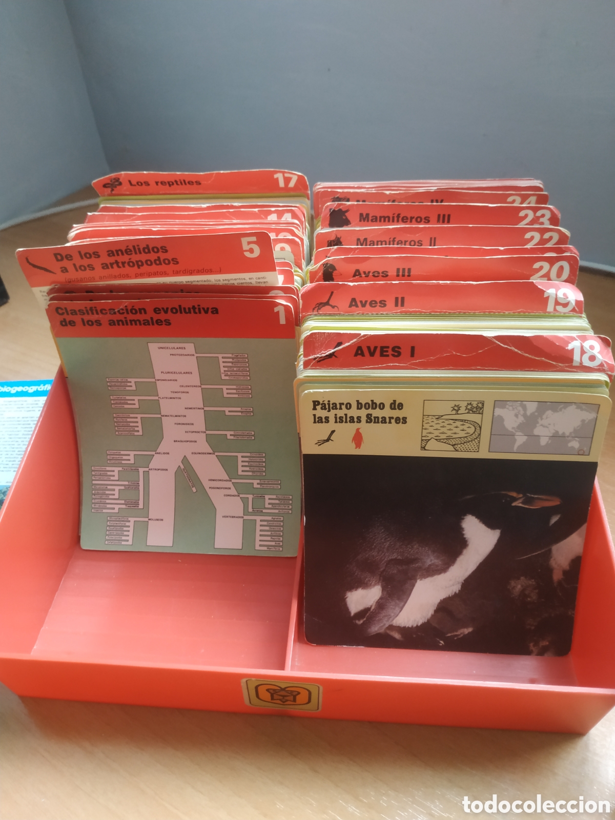 Coleccionismo &aacute;lbumes: Colecci&oacute;n animales - Foto 1