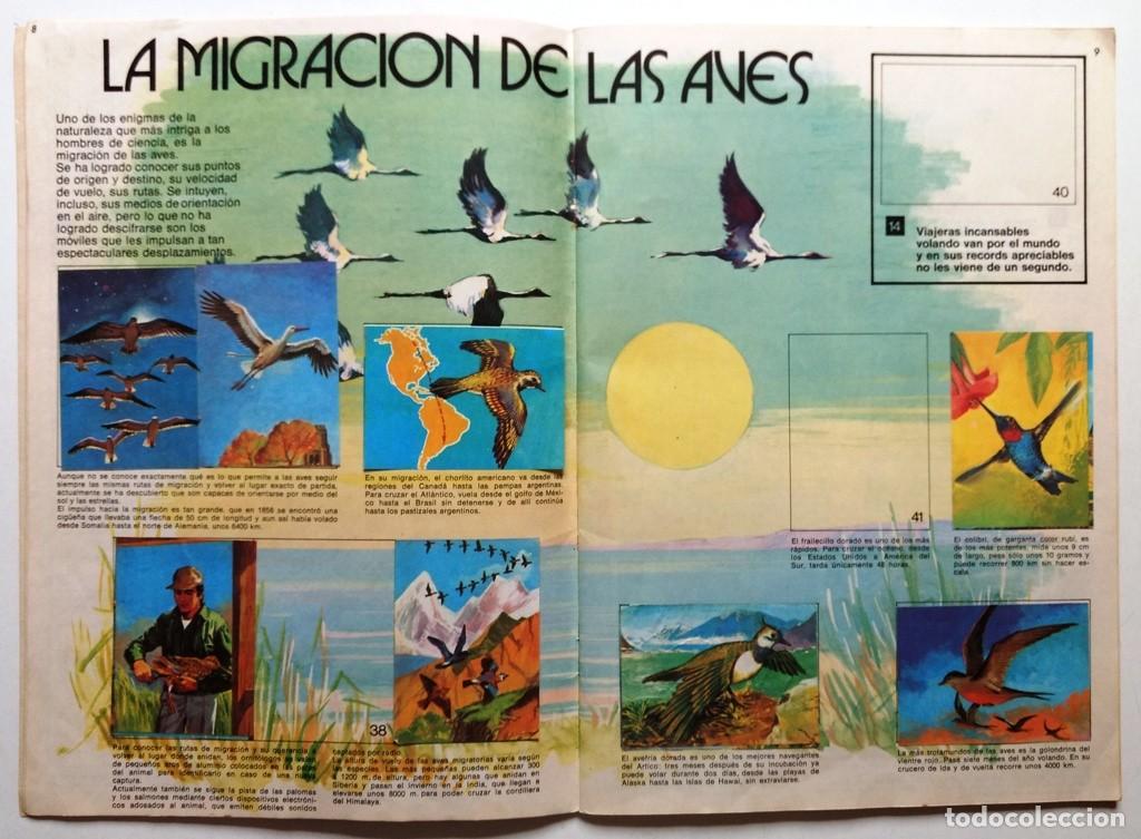 Coleccionismo &aacute;lbumes: El libro de las Adivinanzas 2 - Foto 3