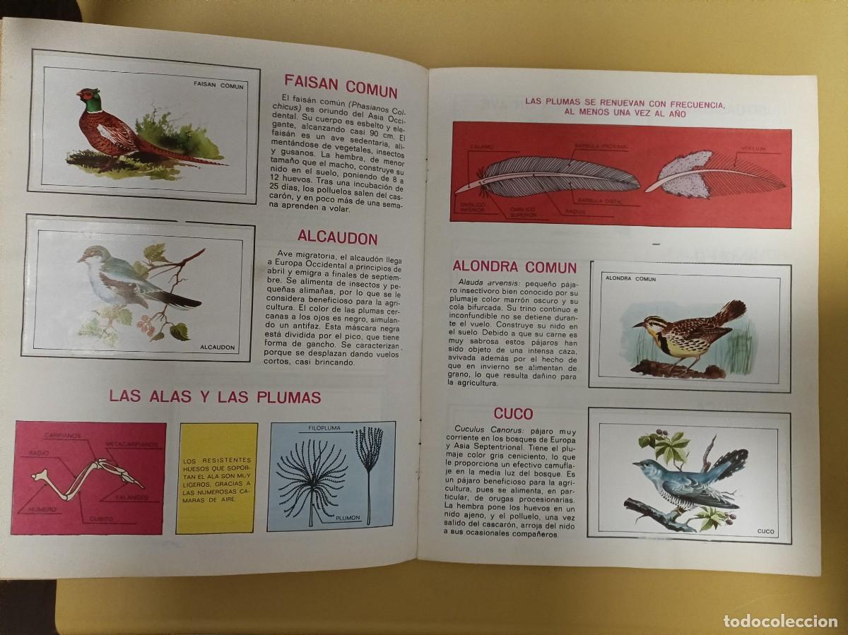Coleccionismo &aacute;lbumes: pajaros - Foto 2